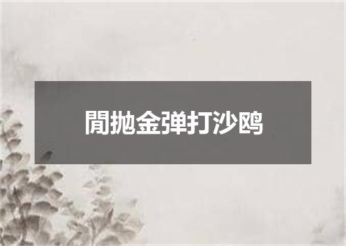 閒抛金弹打沙鸥