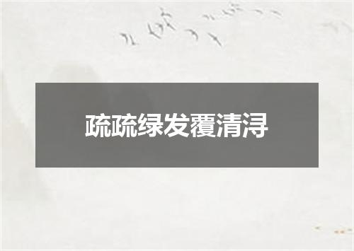 疏疏绿发覆清浔