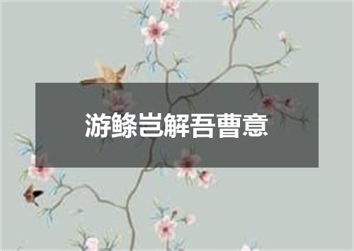 游鲦岂解吾曹意