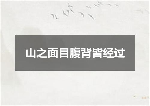 山之面目腹背皆经过