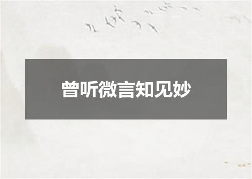 曾听微言知见妙