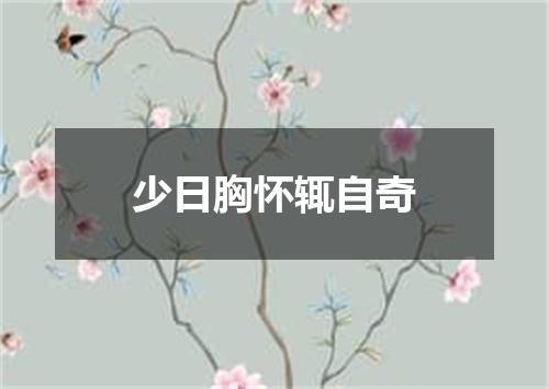 少日胸怀辄自奇