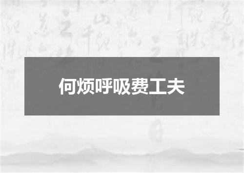 何烦呼吸费工夫