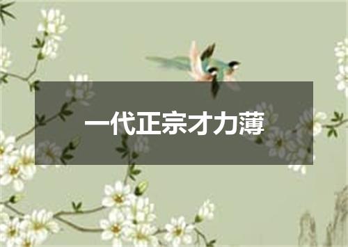 一代正宗才力薄