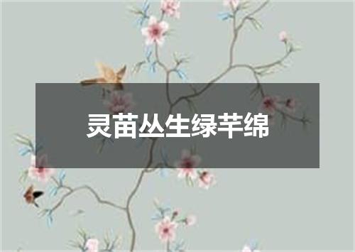 灵苗丛生绿芊绵