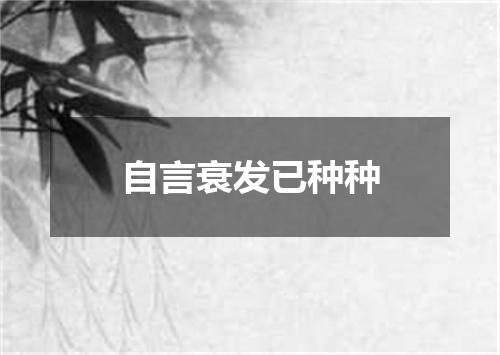 自言衰发已种种