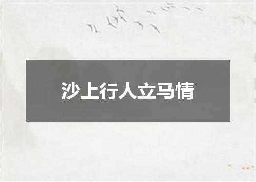 沙上行人立马情