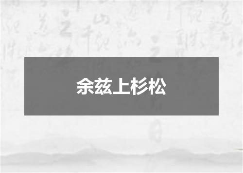 余兹上杉松