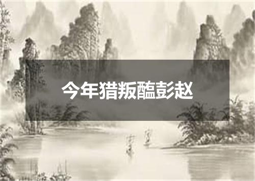 今年猎叛醢彭赵