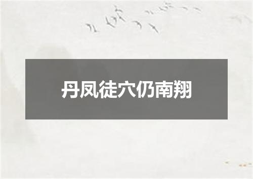 丹凤徒穴仍南翔