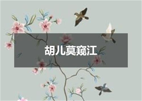 胡儿莫窥江