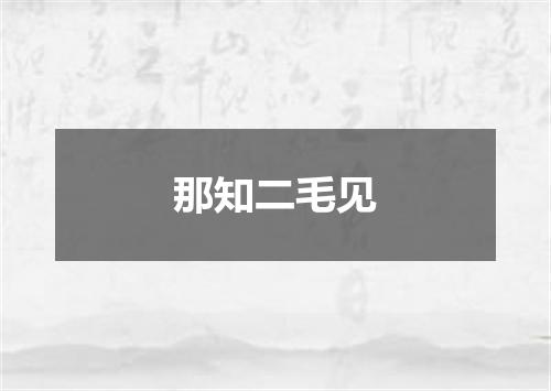 那知二毛见
