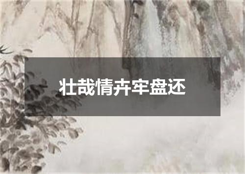 壮哉情卉牢盘还