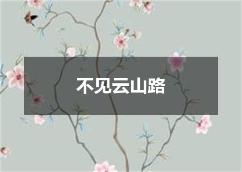 不见云山路