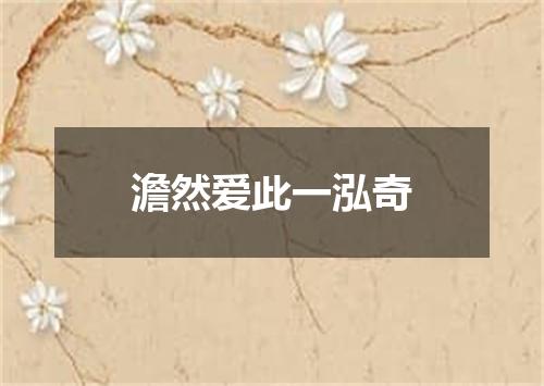 澹然爱此一泓奇