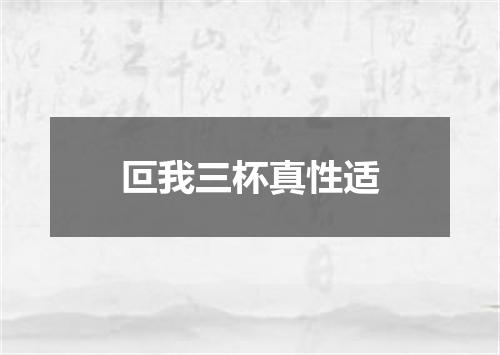 叵我三杯真性适