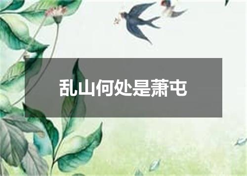 乱山何处是萧屯