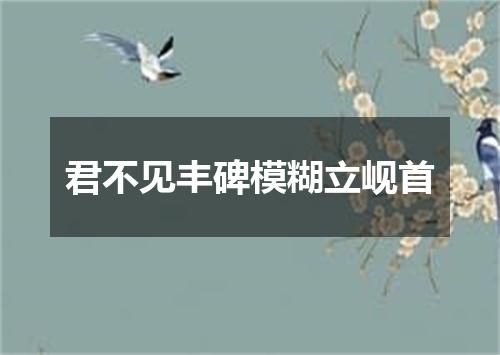 君不见丰碑模糊立岘首