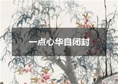 一点心华自闭封