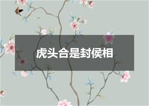 虎头合是封侯相
