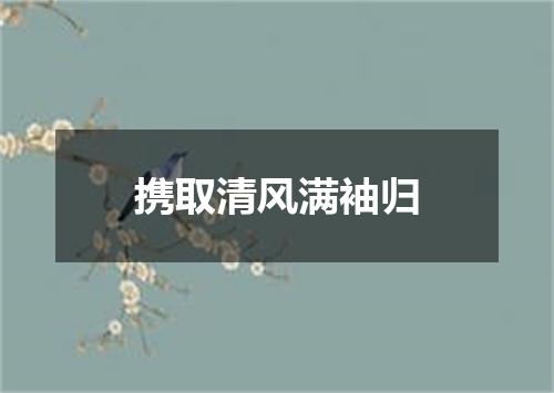 携取清风满袖归