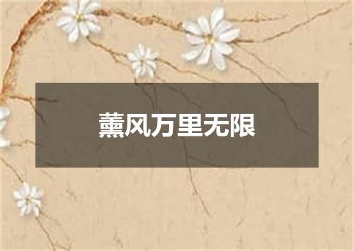 薰风万里无限