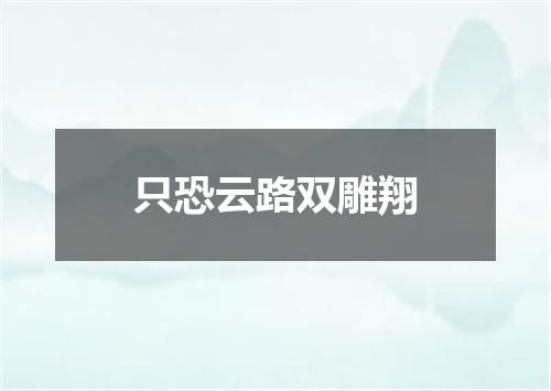 只恐云路双雕翔