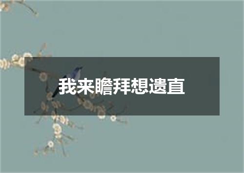 我来瞻拜想遗直