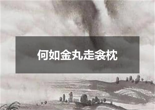 何如金丸走衾枕