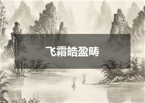 飞霜皓盈畴