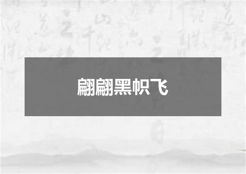 翩翩黑帜飞