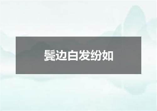 鬓边白发纷如