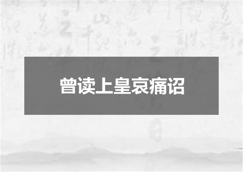 曾读上皇哀痛诏