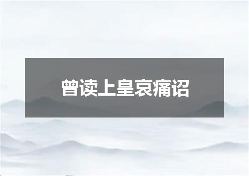 曾读上皇哀痛诏