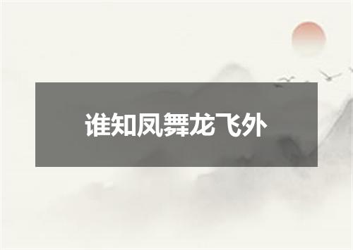 谁知凤舞龙飞外