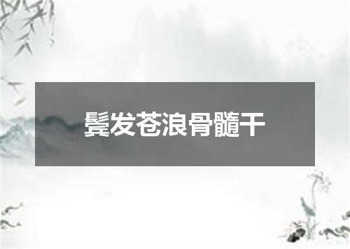 鬓发苍浪骨髓干