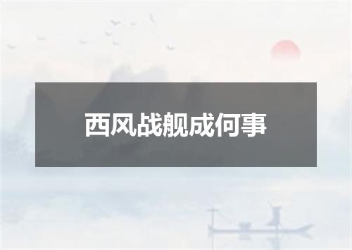 西风战舰成何事