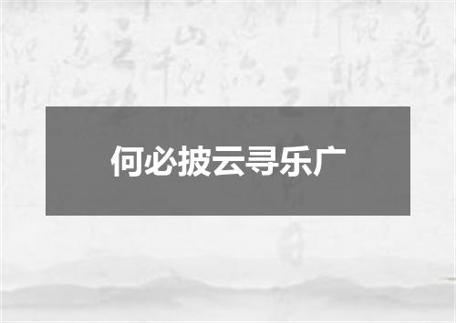 何必披云寻乐广