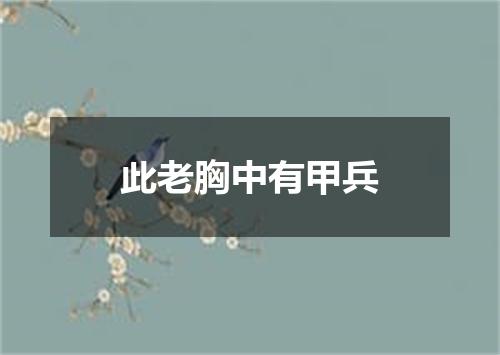 此老胸中有甲兵