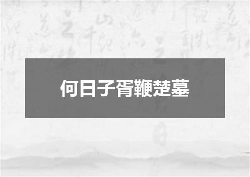 何日子胥鞭楚墓