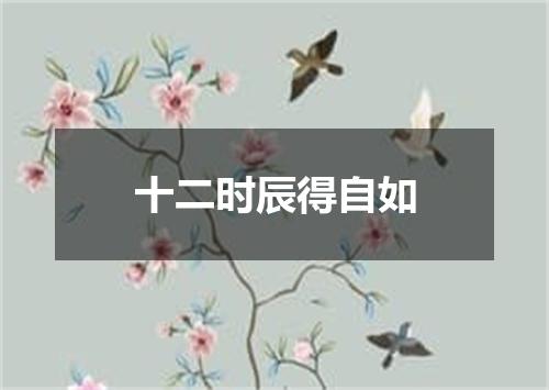 十二时辰得自如