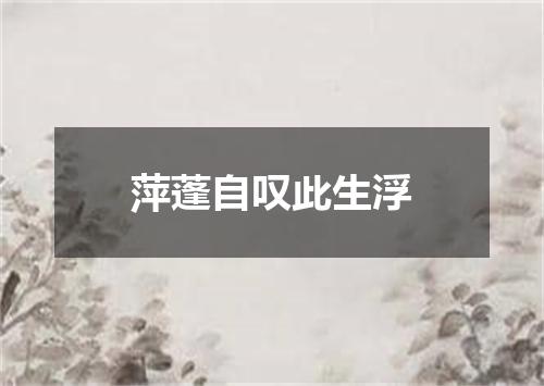 萍蓬自叹此生浮
