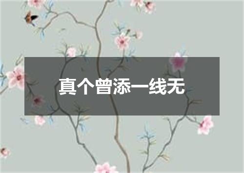 真个曾添一线无