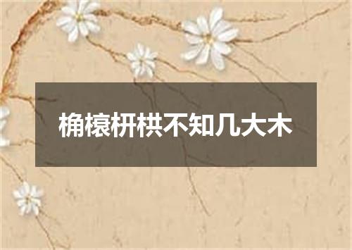 桷榱枅栱不知几大木