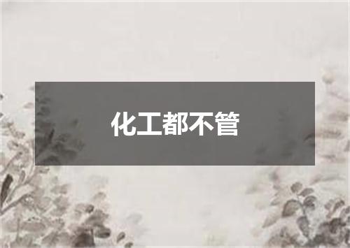 化工都不管