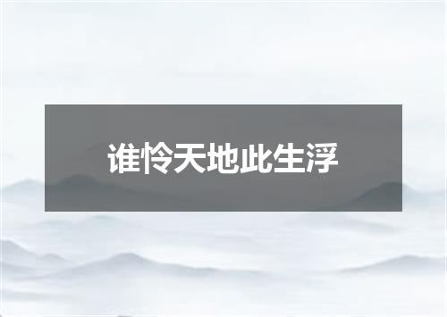 谁怜天地此生浮