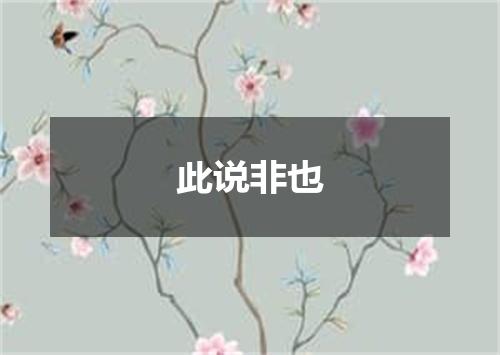 此说非也