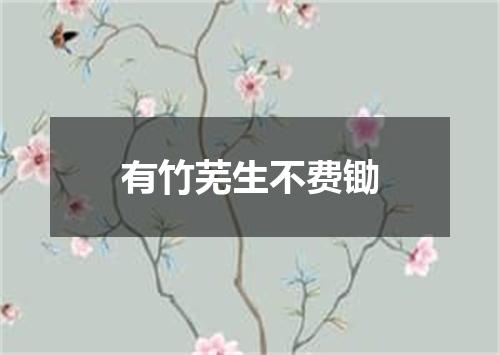 有竹芜生不费锄