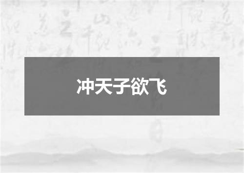 冲天子欲飞