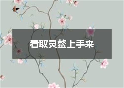 看取灵鳌上手来